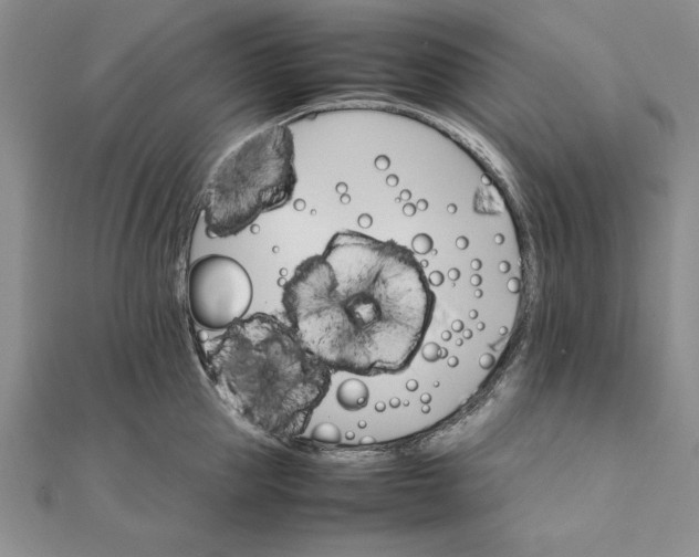 X0000111680953200908071422