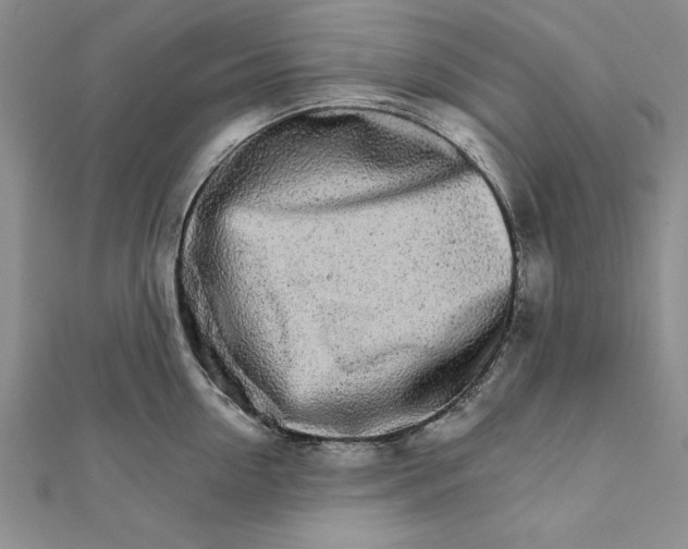 X0000111680954200908071422