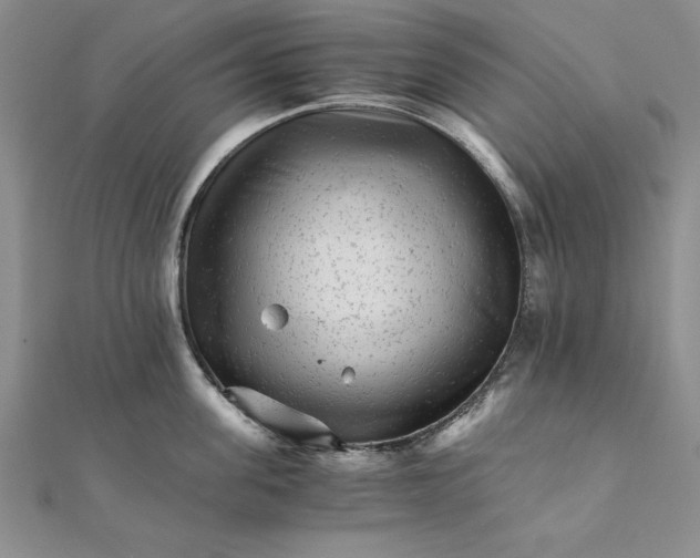 X0000111680955200908071422