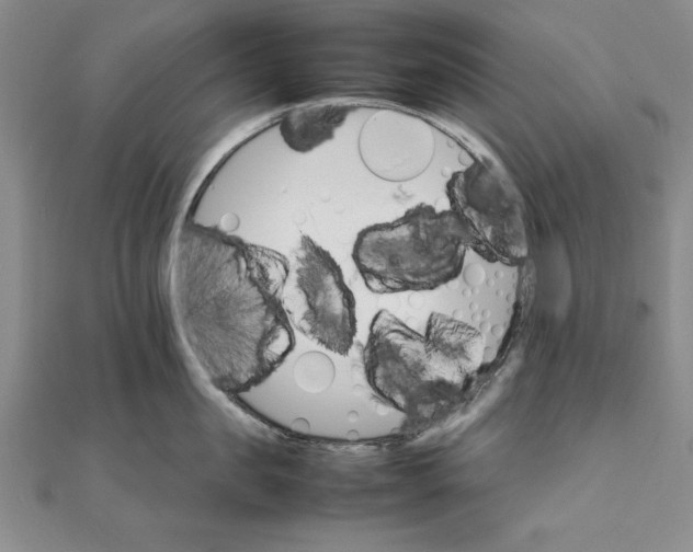 X0000111680957200908071422