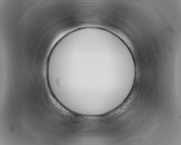 X0000111680958200908071422