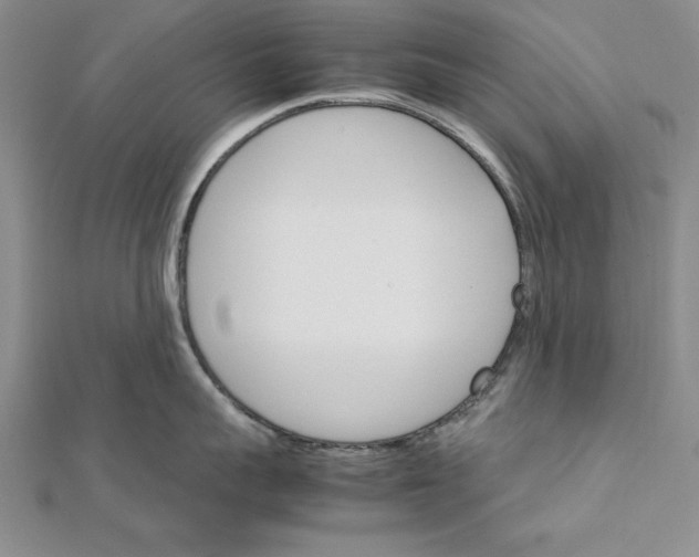 X0000111680959200908071422