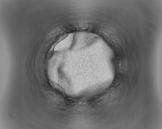 X0000111680961200908071422