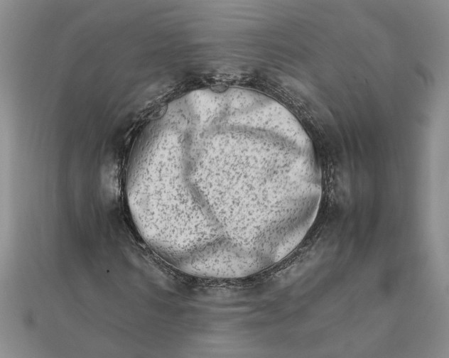 X0000111680962200908071422