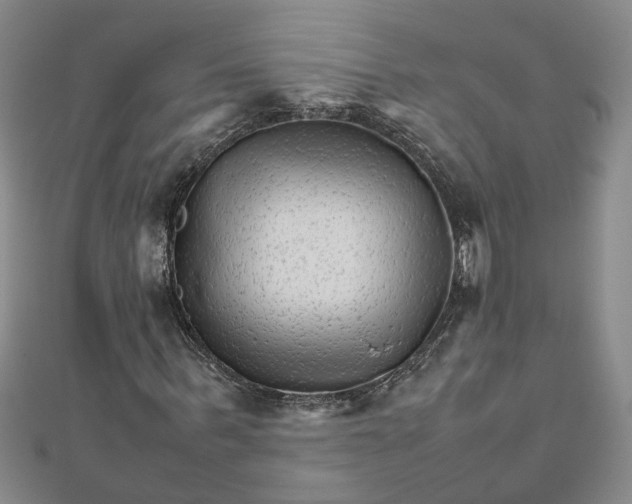 X0000111680963200908071422