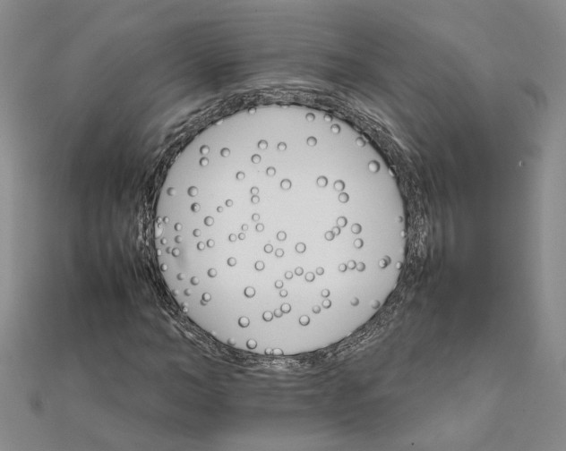 X0000111680966200908071421