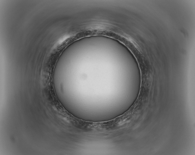 X0000111680967200908071421