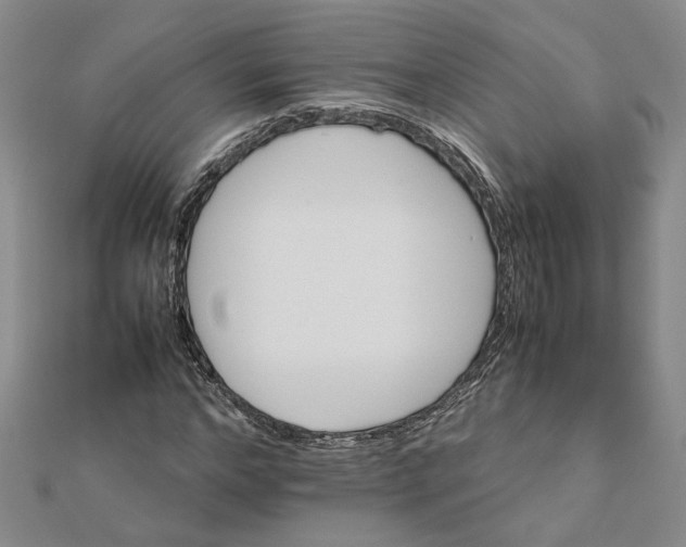 X0000111680968200908071421