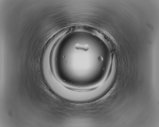 X0000111680969200908071421