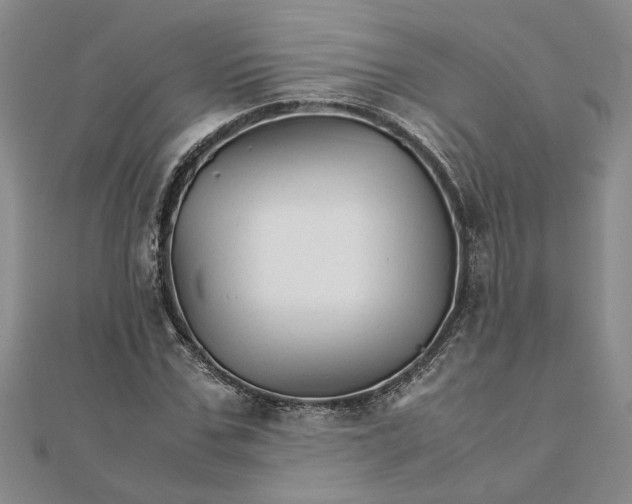 X0000111680971200908071421