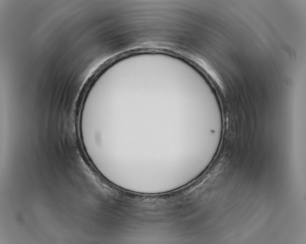 X0000111680972200908071421