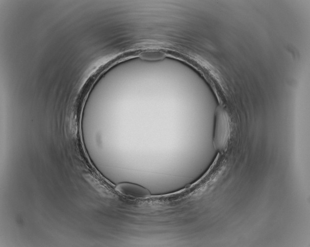 X0000111680973200908071421