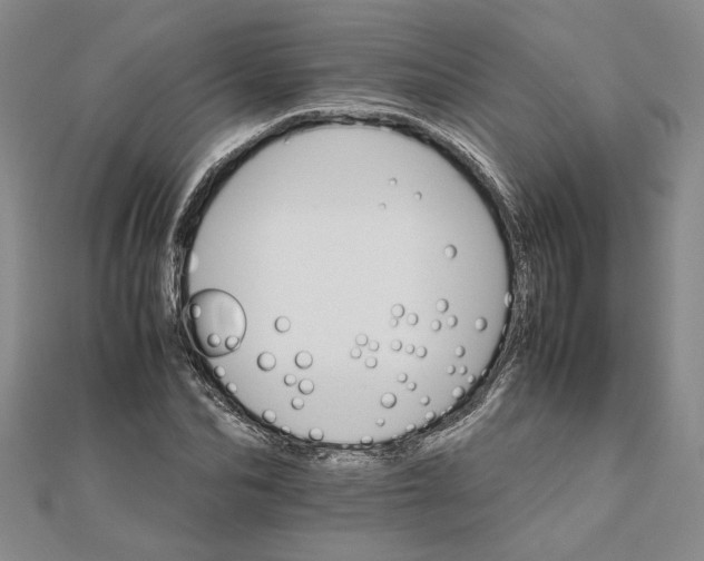 X0000111680974200908071421