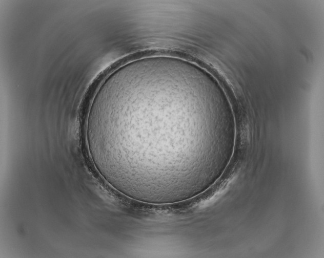 X0000111680975200908071421