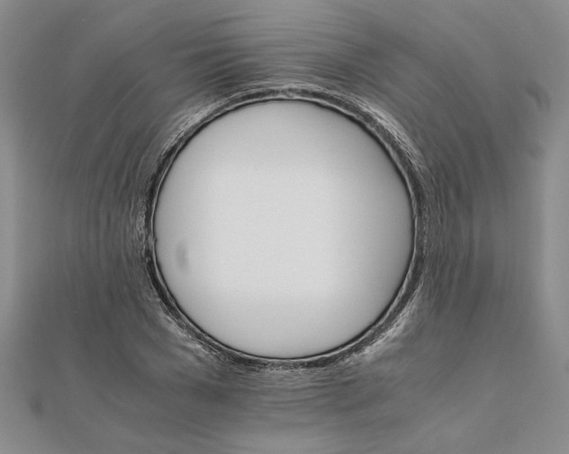 X0000111680977200908071421