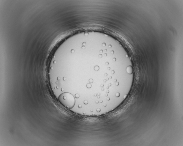 X0000111680978200908071421