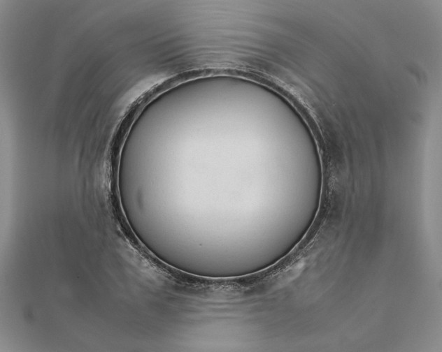 X0000111680979200908071421