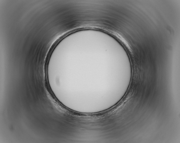 X0000111680980200908071421