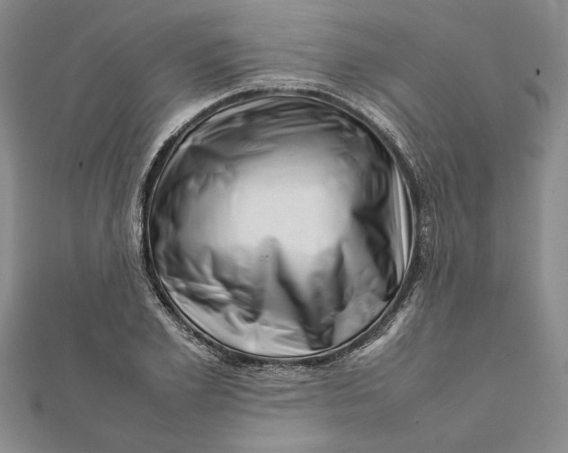 X0000111680981200908071421