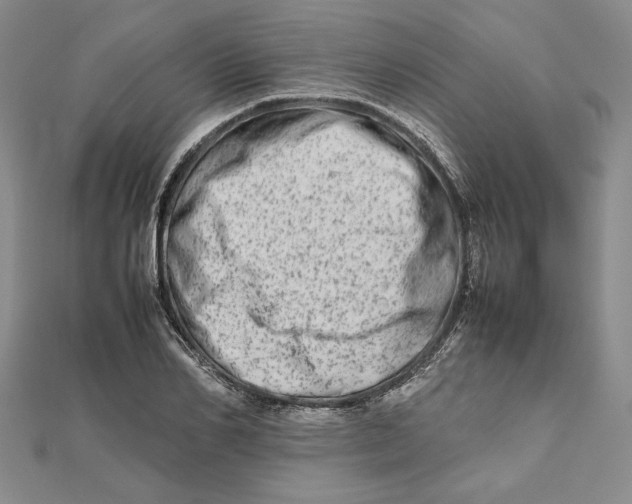 X0000111680982200908071421