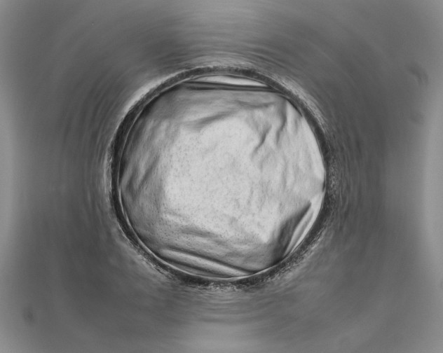 X0000111680983200908071421