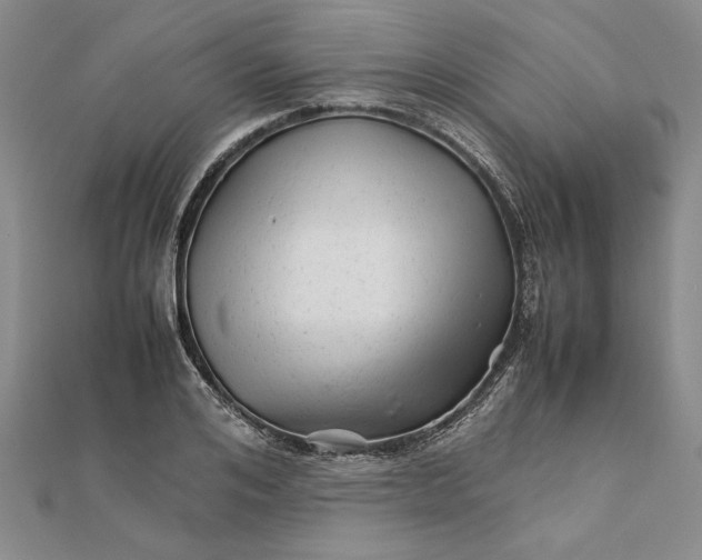 X0000111680984200908071421