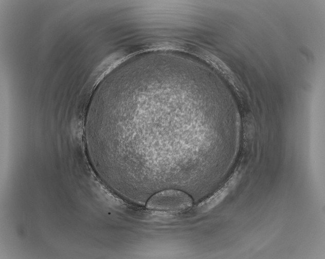 X0000111680985200908071421