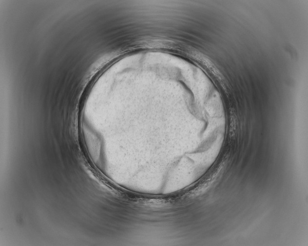 X0000111680986200908071421