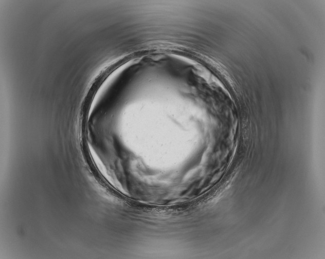 X0000111680987200908071421