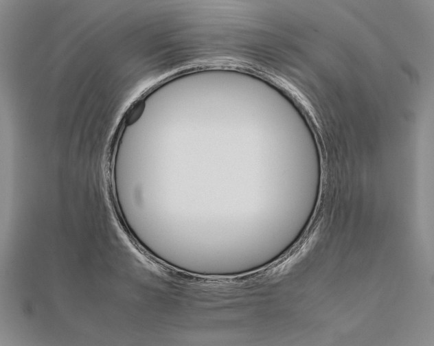 X0000111680989200908071421