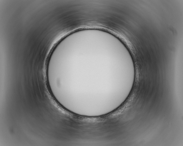 X0000111680990200908071421