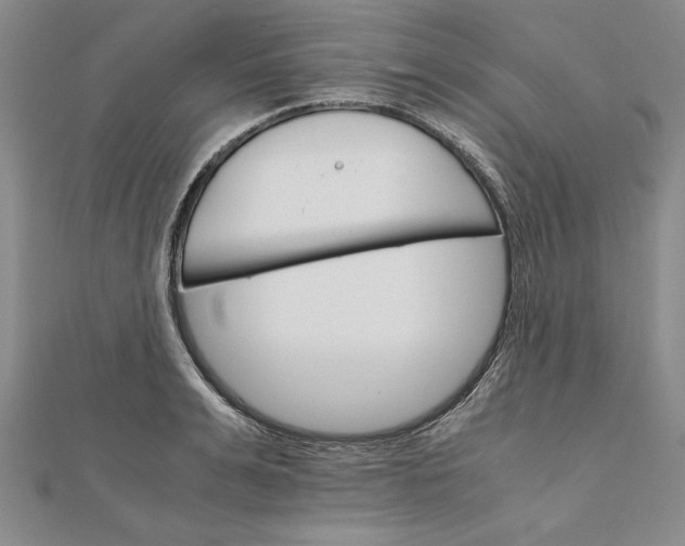 X0000111680991200908071421