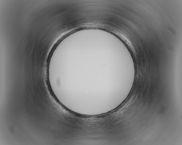 X0000111680992200908071421