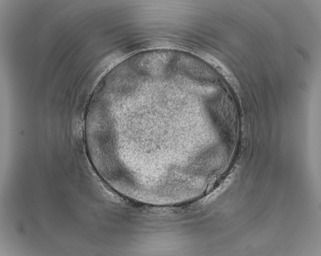 X0000111680993200908071421