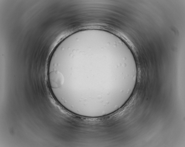 X0000111680994200908071421