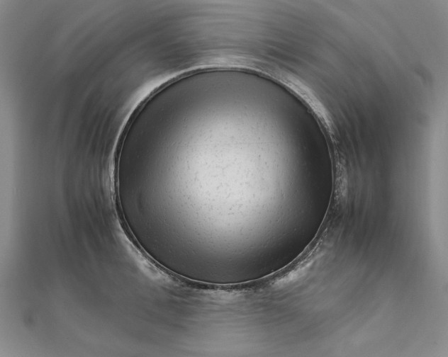 X0000111680996200908071421