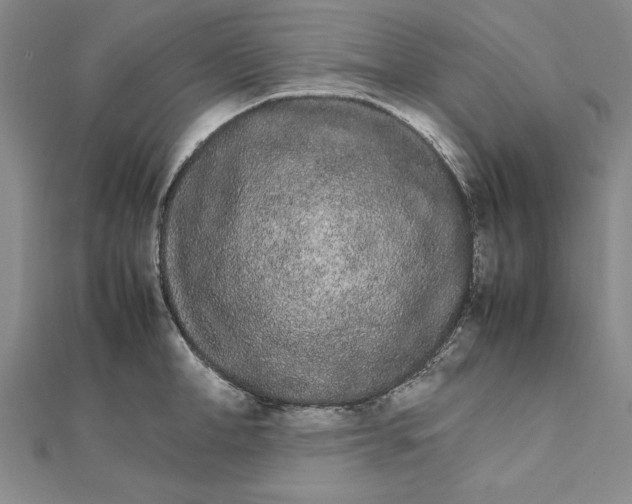 X0000111680998200908071421