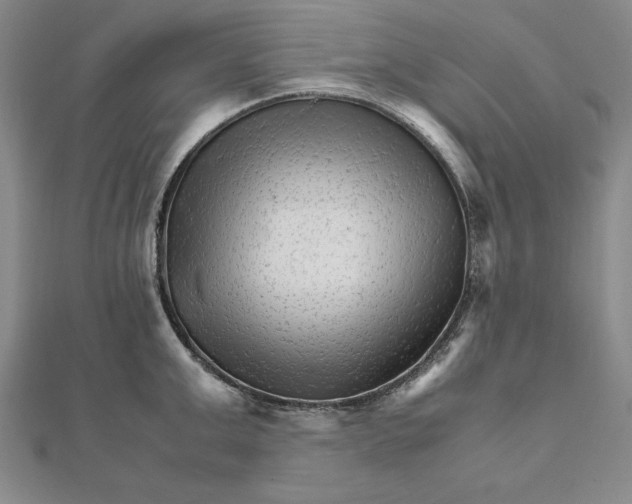 X0000111680999200908071421