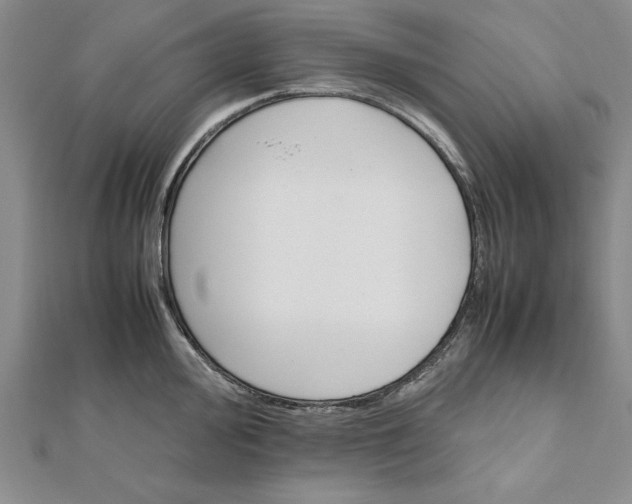 X0000111681000200908071421