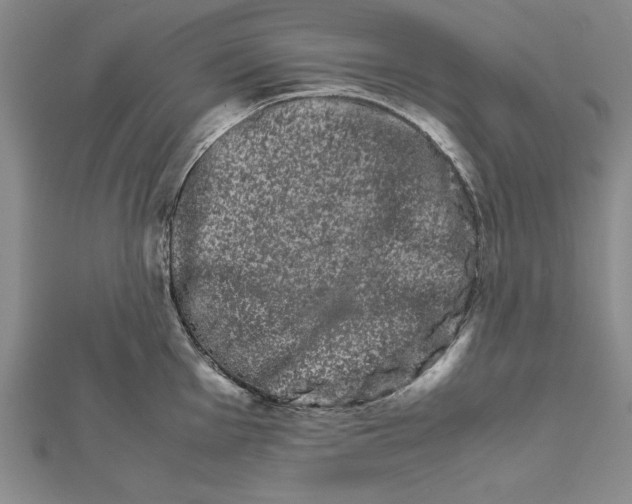 X0000111681001200908071421