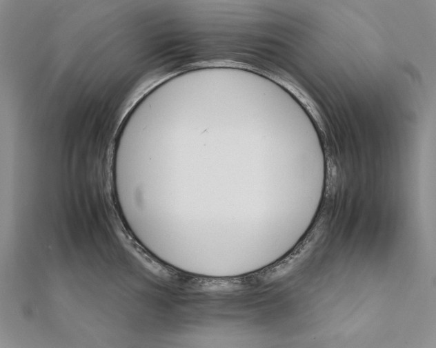 X0000111681002200908071421