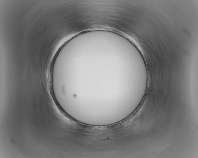 X0000111681003200908071421