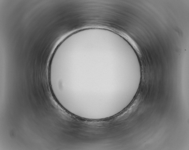 X0000111681004200908071421