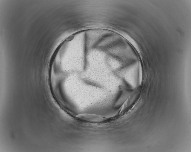 X0000111681005200908071421