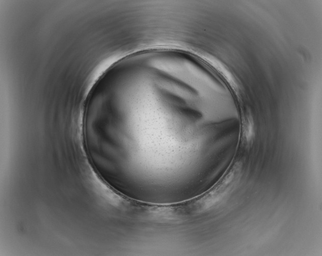 X0000111681006200908071421