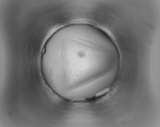 X0000111681008200908071421