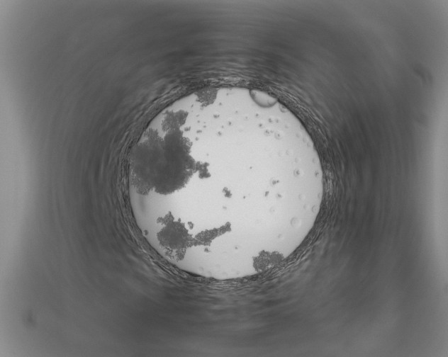 X0000111681009200908071420