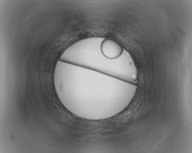 X0000111681010200908071420