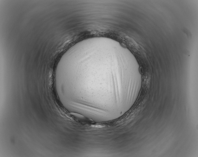 X0000111681012200908071420