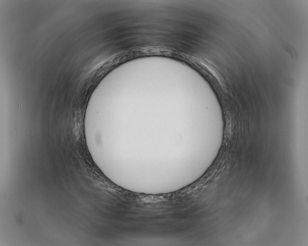 X0000111681015200908071420